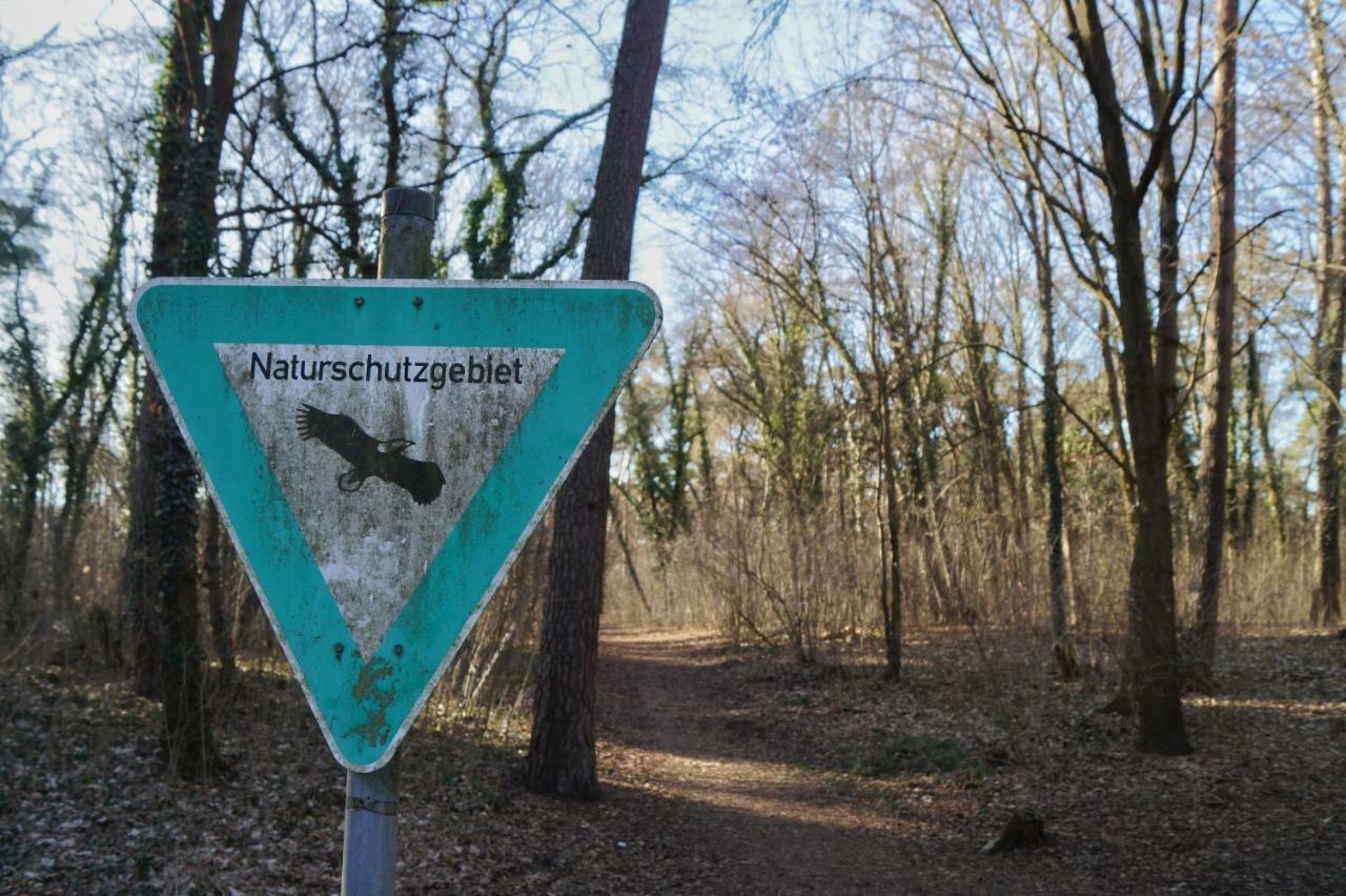 "Gemuetlich" 1-Zimmer Apartment Nah Am Wald Moguncja Zewnętrze zdjęcie